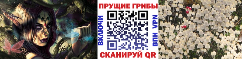 Купить где  Протвино  Псилоцибиновые грибы ЛСД 